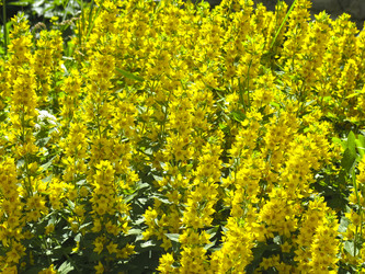 Similar image 21129842