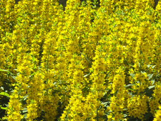 Similar image 21129843