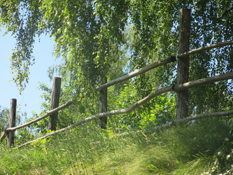 Similar image 21130049