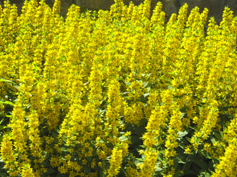 Similar image 21130050