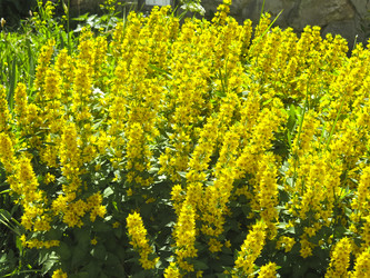 Similar image 21130051