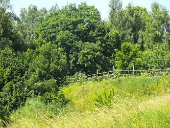 Similar image 21130052