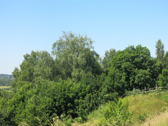 Similar image 21130054