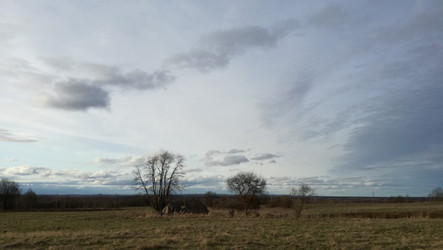 Similar image 21127081