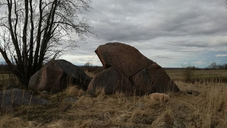 Similar image 21127082