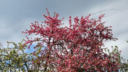 Similar image 21127084