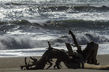 Similar image 21127205