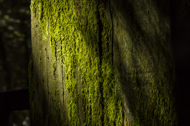 Similar image 21127085