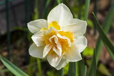 Similar image 21126379