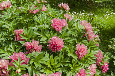 Similar image 21126382