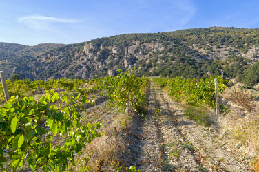 Similar image 21126384