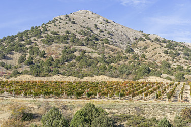 Similar image 21126385