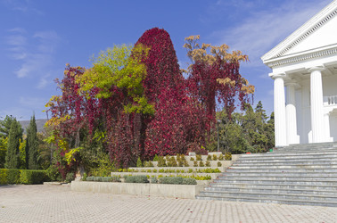 Similar image 21126386