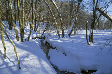 Similar image 21126387