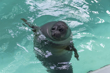 Similar image 21126393