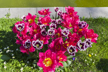 Similar image 21126394