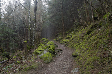 Similar image 21126398