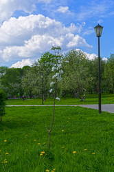 Similar image 21126402