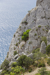 Similar image 21126404