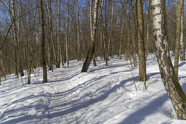 Similar image 21126415