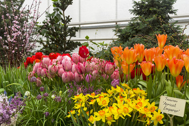 Similar image 21126420