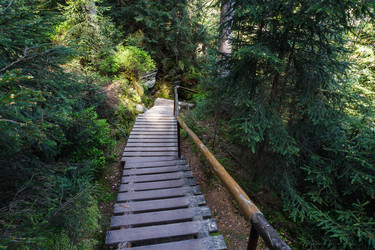 Similar image 21129850