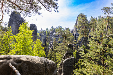 Similar image 21129855