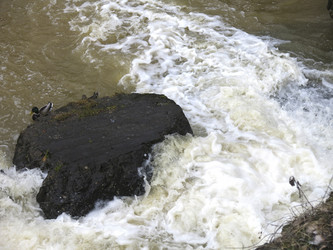 Similar image 21130074