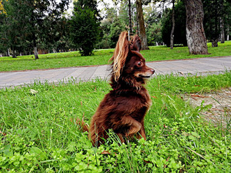 Similar image 21126275