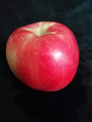 Similar image 21126276