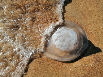 Similar image 21126278