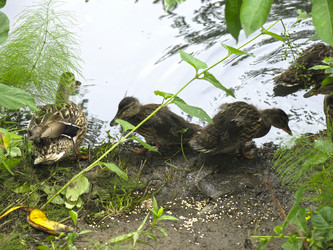 Similar image 21129747