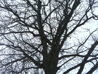 Similar image 21129749