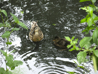 Similar image 21129750