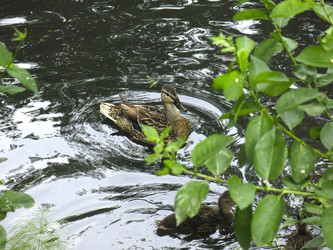 Similar image 21129754