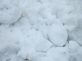 Similar image 21129878