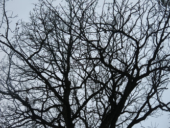 Similar image 21130078