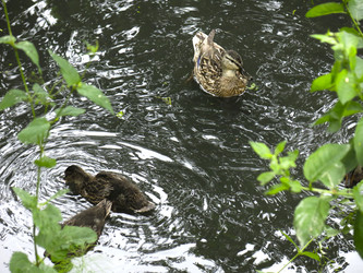 Similar image 21130079