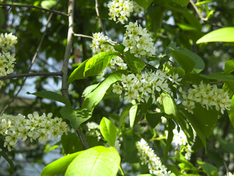 Similar image 21130080