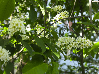 Similar image 21130081