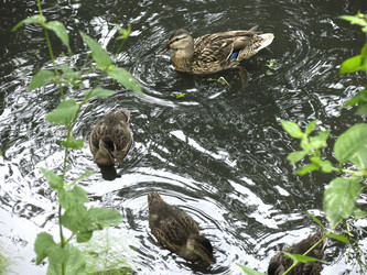 Similar image 21130082