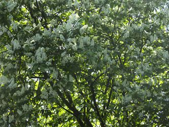 Similar image 21130083