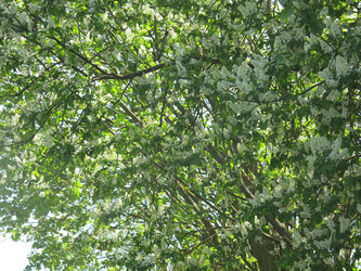 Similar image 21130084