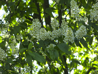 Similar image 21130085