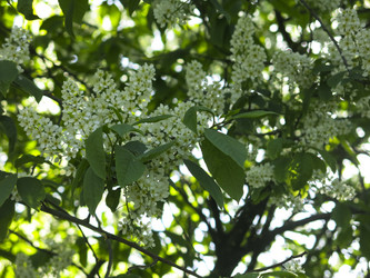 Similar image 21130086