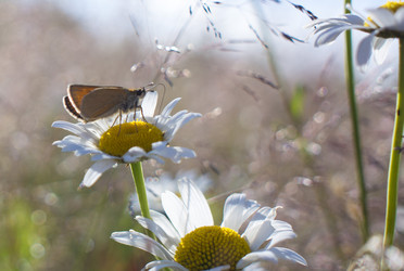 Similar image 21126446