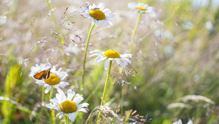 Similar image 21126447