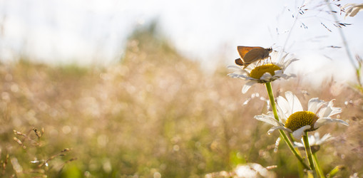 Similar image 21126449