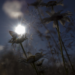 Similar image 21126451