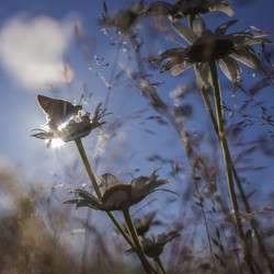 Similar image 21126454